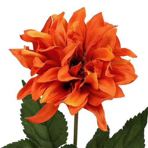 Floristik24 Dahlia orange 28 cm 4 p.