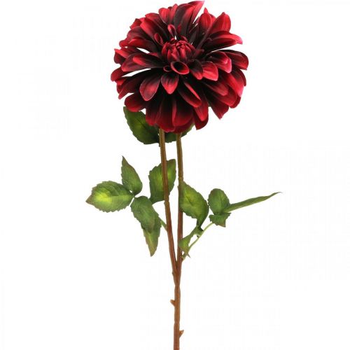 Floristik24 Fleur artificielle dahlia fleur de soie rouge automne 78cm Ø3 / 15cm