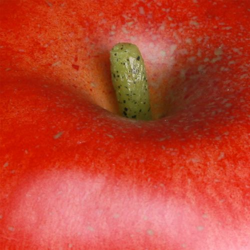 Article Sucette alimentaire décorative pomme rouge fruits décoratifs 9cm
