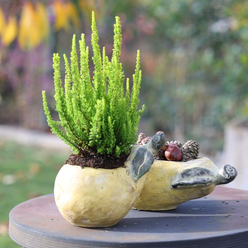 Article Jardinière décorative en forme de poire, pot de fleurs d'automne en béton, 25 x 13 x 11 cm