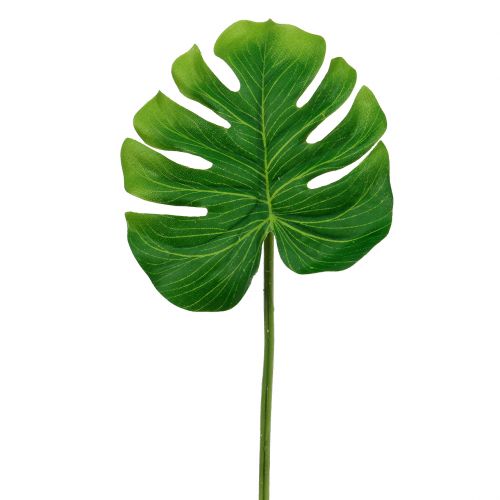 Floristik24 Feuille Déco Feuille Philo Vert L11cm L29.5cm 3pcs