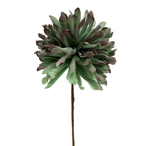 Floristik24 Branche de fleur décorative mousse verte 70cm