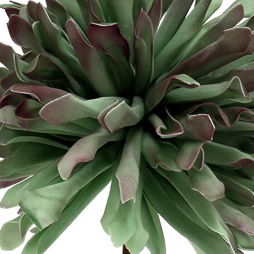 Floristik24 Branche de fleur décorative mousse verte 70cm