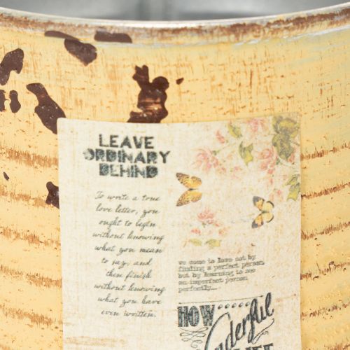 Article Boîte décorative en métal, couleur abricot d'été, pot de fleurs, Ø8cm H7.5cm