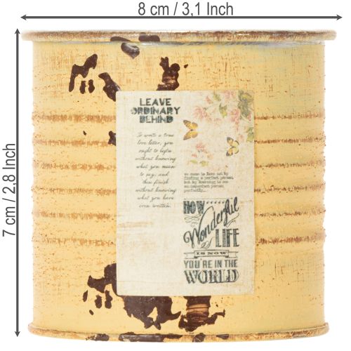 Article Boîte décorative en métal, couleur abricot d'été, pot de fleurs, Ø8cm H7.5cm