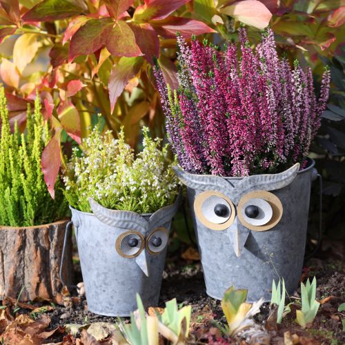 Article Jardinière décorative hibou en zinc avec anse Ø15/19cm lot de 2