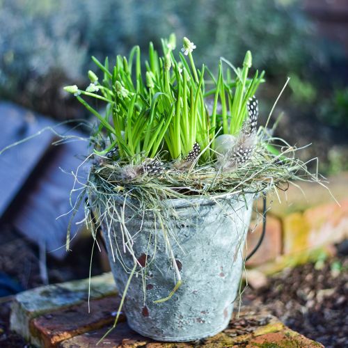 Floristik24 Seau décoratif, pot de fleurs, seau en céramique aspect antique Ø19,5cm H19cm