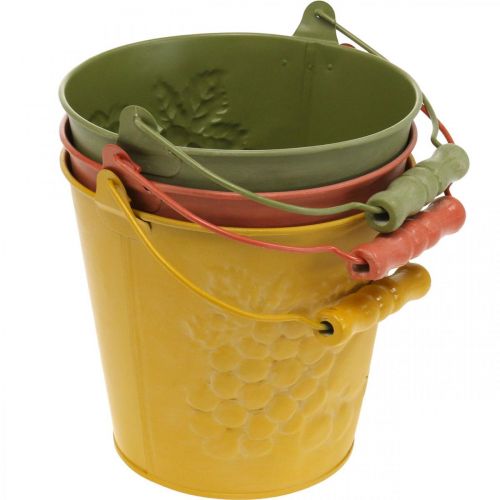 Article Seau déco de fruits lavés jaune, orange, vert Ø15cm H14cm lot de 3