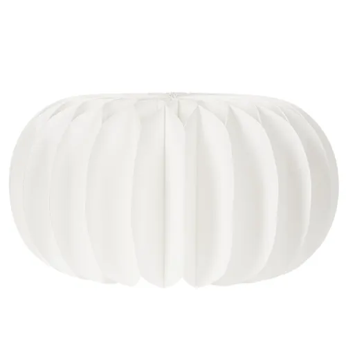 Anneaux en papier alvéolé en forme de citrouille, ronds, de grande taille (24 cm), pour fleurs séchées et décorations d'automne (lot de 4). | Floristik24.be