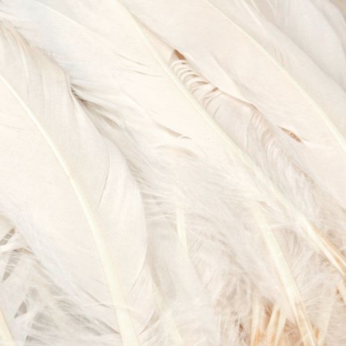 Article Plumes décoratives véritables plumes d'oiseaux champagne 20g