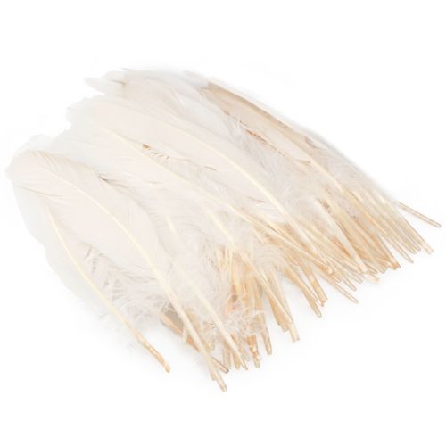 Article Plumes décoratives véritables plumes d'oiseaux champagne 20g