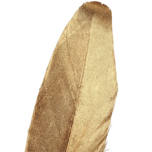Article Plumes décoratives plumes de décoration de Noël dorées 15-20cm 12 pcs
