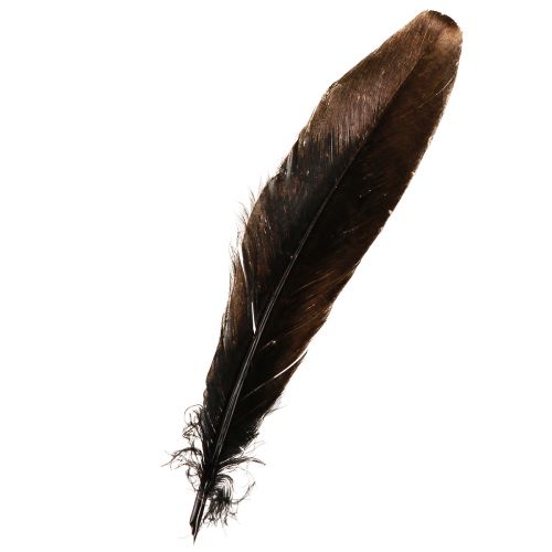 Article Plumes décoratives plumes de décoration de Noël dorées 15-20cm 12 pcs