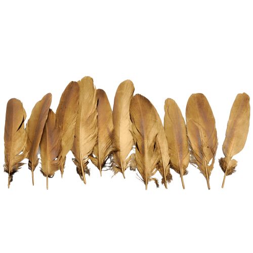 Article Plumes décoratives plumes de décoration de Noël dorées 15-20cm 12 pcs