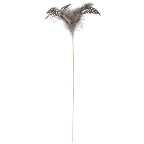 Article Plumes Décoratives Pintade Pointillées sur Bâton Naturel L35cm 12 Pcs