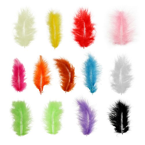 Plumes courtes 30g Multicolore