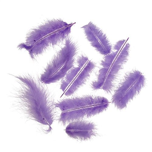 Floristik24 Plumes courtes 30g violet clair