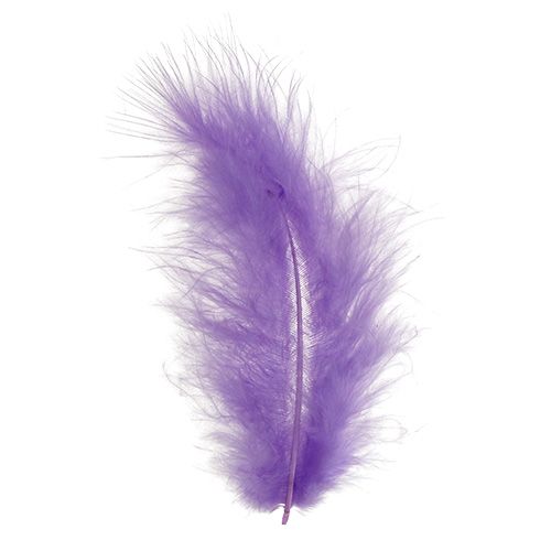 Article Plumes courtes 30g violet clair