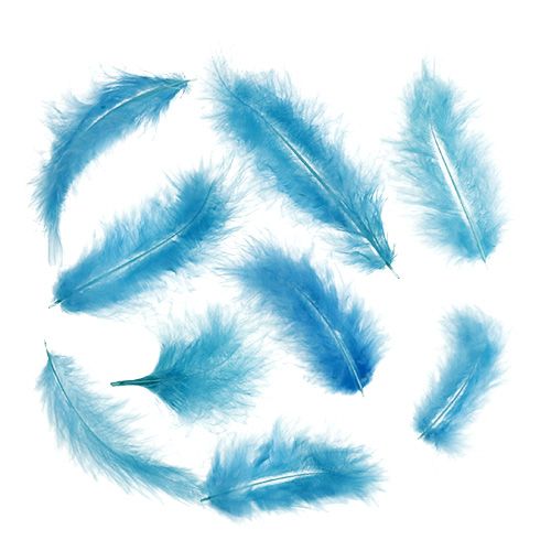 Plumes courtes 30g Turquoise