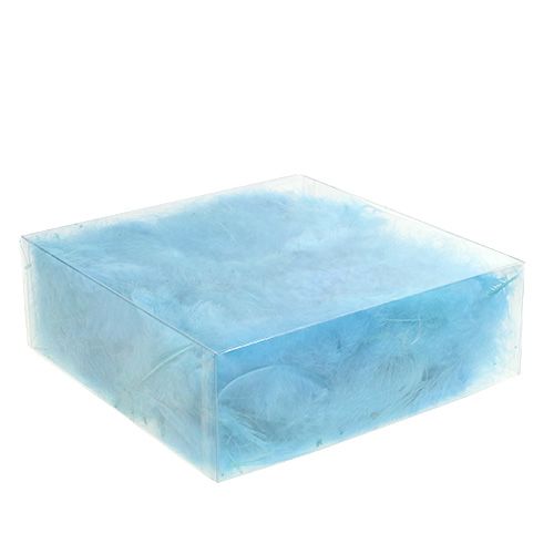 Floristik24 Plumes courtes 30g Turquoise