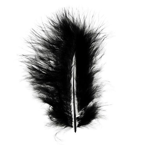 Floristik24 Plumes courtes 30g noir