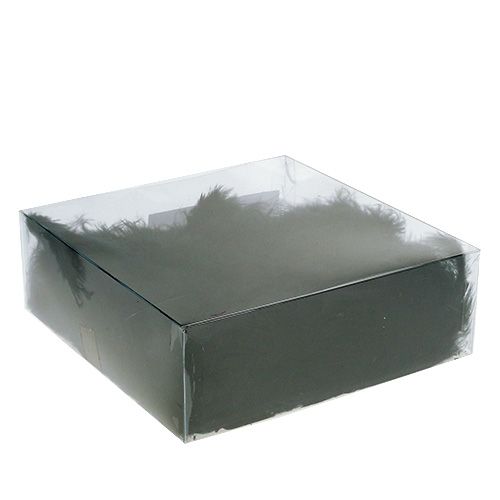 Floristik24 Plumes courtes 30g noir