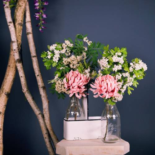 Floristik24 Vases bouteilles déco dans support métal H25cm