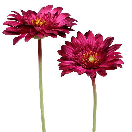 Floristik24 Gerbera décoratif Ø 7 cm L. 46 cm 6 p.