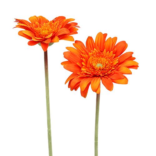 Floristik24 Gerbera décoratif orange Ø 10 cm L. 53 cm 6 p.