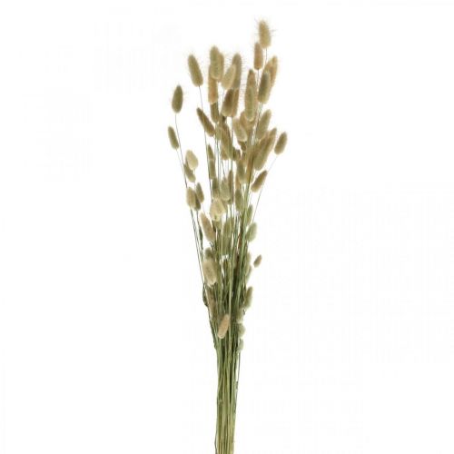 Article Lagurus séchés, fleurs séchées de Lagurus, herbe de Lagurus naturelle L30–70cm 45g