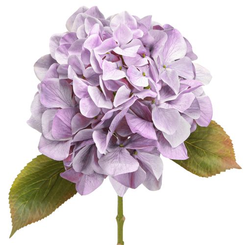 Floristik24 Décoration Hortensias Fleurs Artificielles Fleur Violette Ø18cm 69cm 2pcs