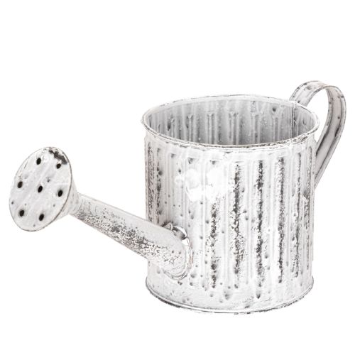 Arrosoir décoratif, jardinière, arrosoir pour plantation Ø10,5 cm acheter | Floristik24.be