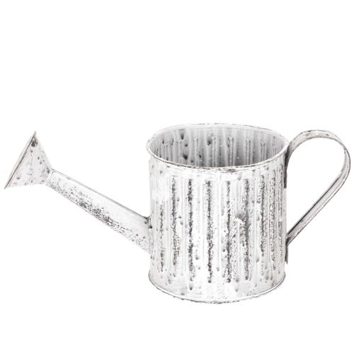 Arrosoir décoratif, jardinière, arrosoir pour plantation Ø10,5 cm | Floristik24.be