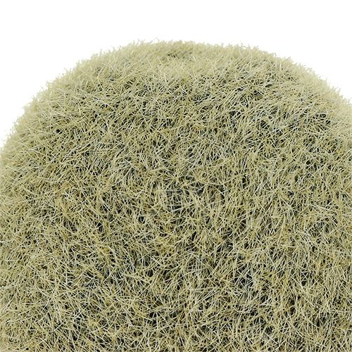 Floristik24 Déco-kiwi 6cm 6pièce