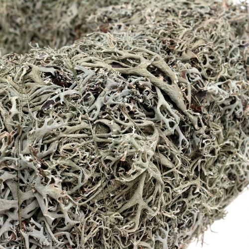 Floristik24 Couronne décorative, couronne de mousse grise Ø38cm 1p