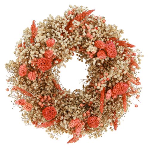 Article Couronne décorative fleurs séchées couronne de fleurs orange crème Ø25cm