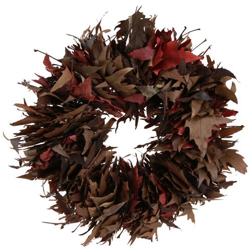 Floristik24 Couronne décorative à suspendre couronne de feuilles de sycomore naturel Ø35cm