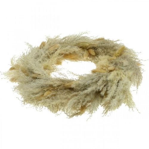 Article Herbe de la pampa Lagurus porte couronne couronne de fleurs séchées couronne Ø31cm