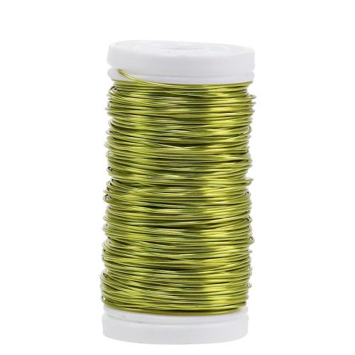 Floristik24 Fil émaillé déco vert anis Ø0.50mm 50m 100g