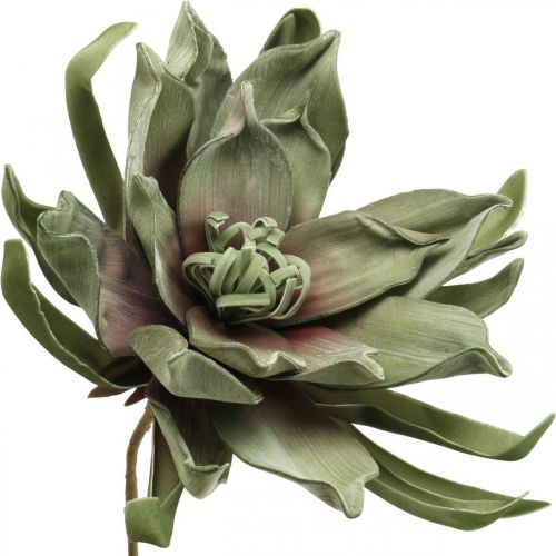 Floristik24 Déco fleur de lotus fleur de lotus artificielle fleur artificielle verte L70cm