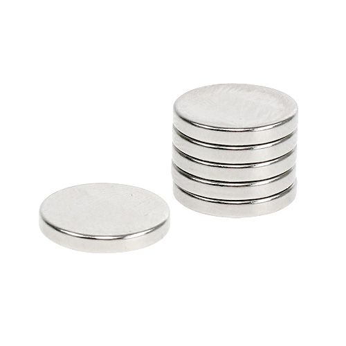 Floristik24 Aimants décoratifs Ø1,3 cm 6 pièces