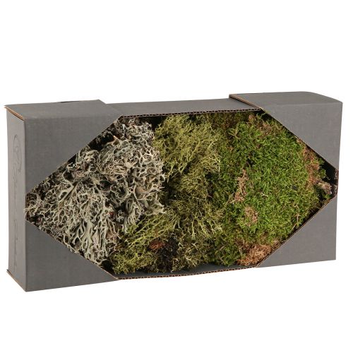 Mousse stabilisée et lichen pour compositions florales 250g