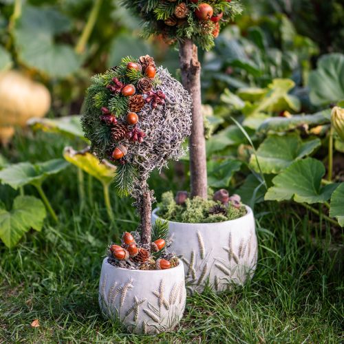 Mousse décorative – véritable mousse et lichen pour compositions florales 250 g | Floristik24.be