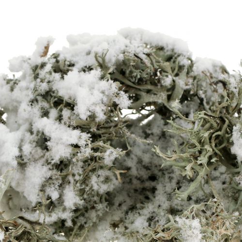 Article Mousse décorative grise recouverte de neige 500g