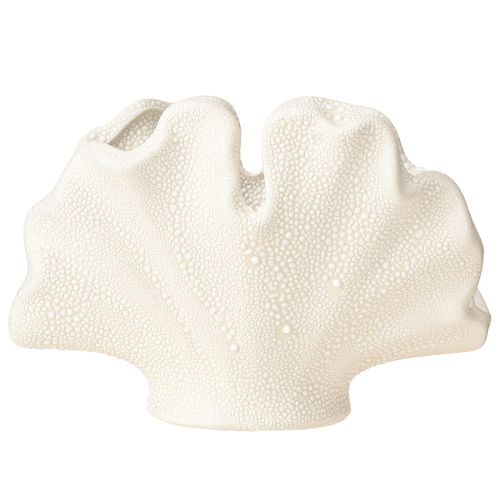 Article Vase coquillage décoratif mini vase en céramique crème 14×7,5×9,5cm