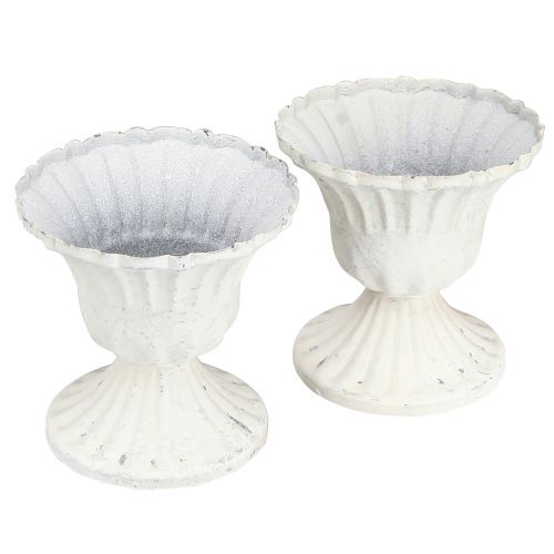 Floristik24 Tasse Déco Shabby Chic Calice Blanc Ø8cm H8.5cm 2pcs