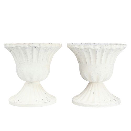 Floristik24 Tasse Déco Shabby Chic Calice Blanc Ø8cm H8.5cm 2pcs