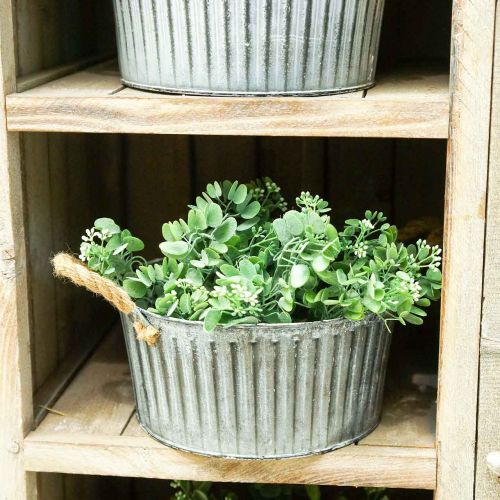 Floristik24 Coupe décorative, jardinière avec poignées, coupe fleurie à planter Ø25cm