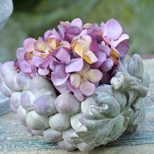 Floristik24 Bol déco raisins gris violet crème 19×14cm H9.5cm