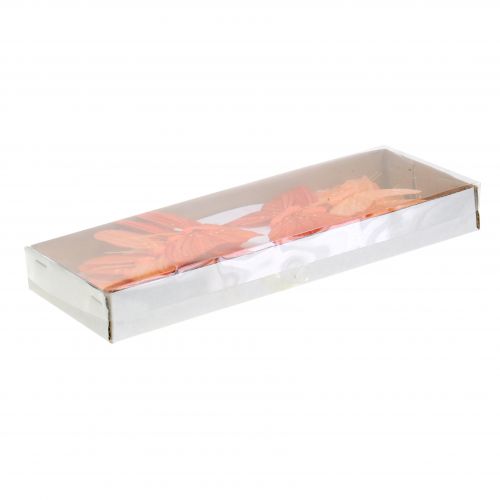 Floristik24 Déco papillon orange 12pcs